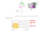 do molecular docking, toxicity, vega qsar and admet analysis